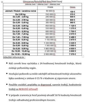 Poľovačka na jelene v Maďarsku
