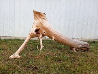 predam mohutny koren / samorast do akvaria