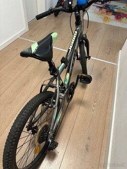 CTM Jerry 1.0 20”