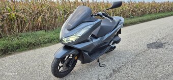 Honda pcx 125