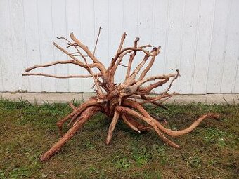 predam mohutny koren / samorast do akvaria