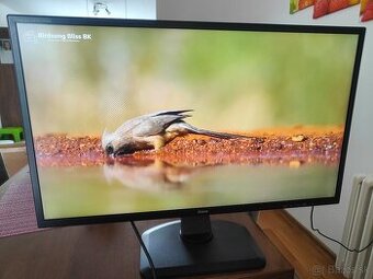 Monitor iiyama 32' - 2K IPS Pivot