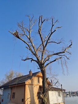 Arboristika, záhradnícke práce