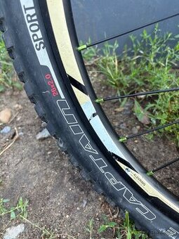 Specialized