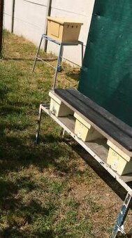 Oplodniaciky 3ks dokopy 15€