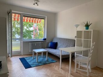 1 izbovy slnecny byt v strede Ruzinova