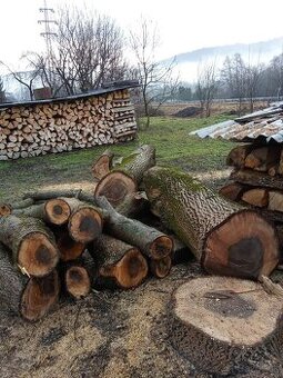 Predám orechové drevo