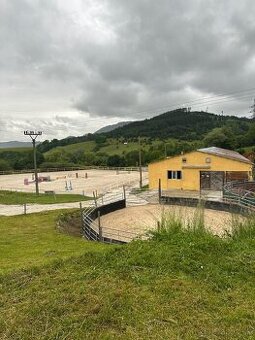 Hľadáme stajníka, stajníčku, ošetrovateľa, ošetrovateľku