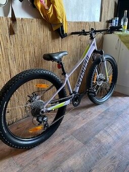 Specialized 24