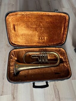 Krídlovka značka Lidl Brno