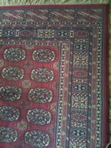 Plyšový koberec  vlnený - 1