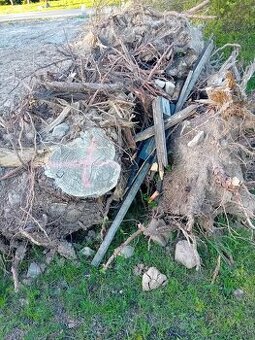 Darujem za odvoz korene