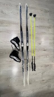 Set Fischer summit crown so šupinami