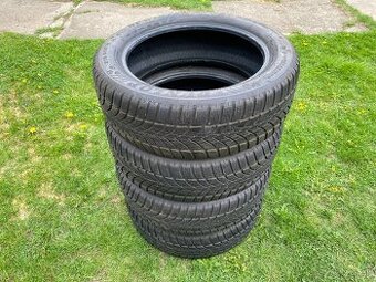 Zimné pneu Dunlop, 215/55 R18
