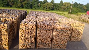 Palivové drevo buk-dub