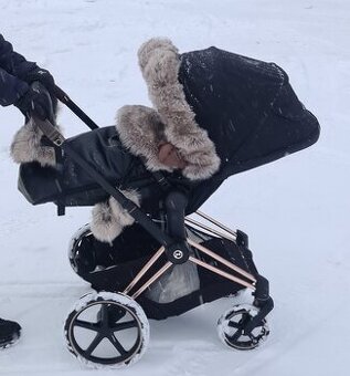 Cybex Priam platinum 2022