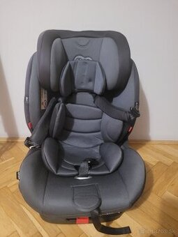 Autosedacka