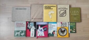 Hydina, husi, kačky, hospodárske zvieratá - 1