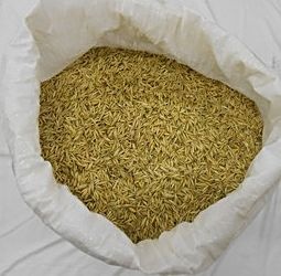 kúpim pár vriec ovsu