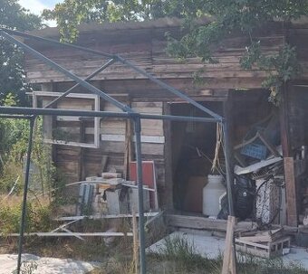 Drevo za odvod, palivove drevo