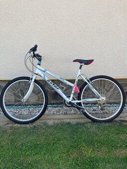 Bicykel Ister