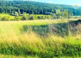 HALO reality - Predaj, rekreačný pozemok Papradno, pri Kolib - 1