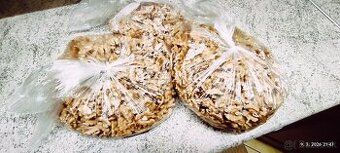 Vlašské orechy lúpané