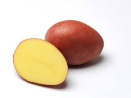 SADBOVĚ ZEMIAKY