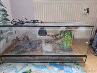 Terarium