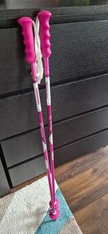 Lyžiarske palice 100cm