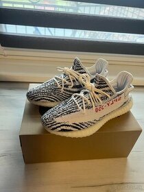 Yeezy 350 Zebra