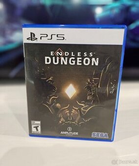 Endless Dungeon PS5