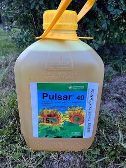 Pulsar 40