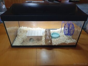 Klietka pre škrečka 60 x 30 x 30 cm 54 l - 1