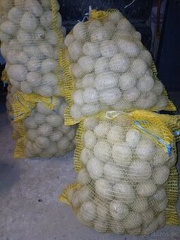 Zemiaky červené - red anna