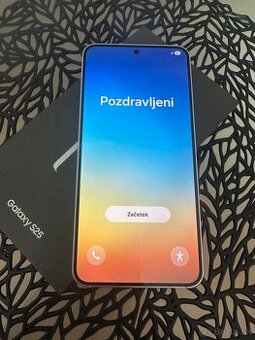 Samsung Galaxy S25 256GB