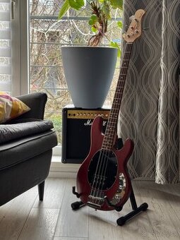 Sterling by music man Sting ray