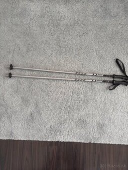 Lyžiarske palice 100 cm