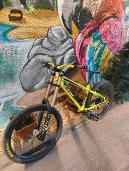 DH bike fox ctm raptor