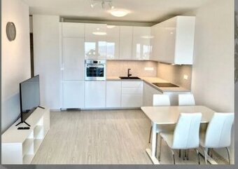 Na prenajom 2 izbovy byt Bory