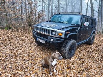 Predám / vymením HUMMER H2