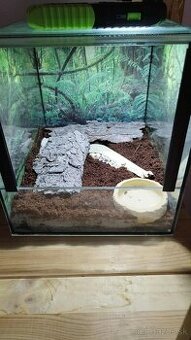 Predám kompletne zariadené teráriá – 25×30×25 cm