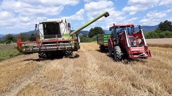 Predám pšenicu, jačmeň, Sóju