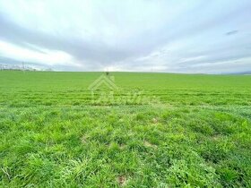 PREDAJ Pozemky 2000 m² Pravotice - 1