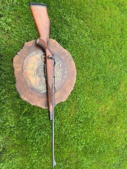 Sauer 80