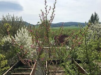 Terasová záhrada so zrubovou chatkou na DUBINE II