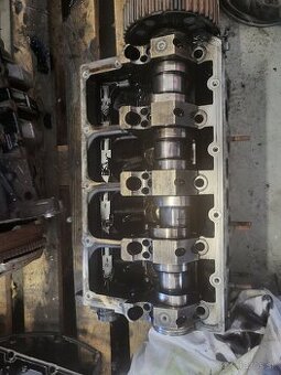 Hlava motora 1.9tdi bls 2.0tdi 038103373r