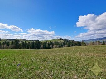 PREDAJ Stavebný pozemok Detvianska Huta okres Detva - 1