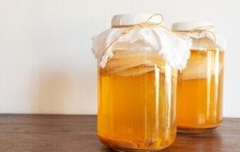 Komucha - nálev+huba+návod