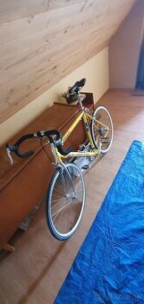 Cestný bicykel.